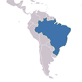 Торговый оборот между Россией и Бразилией за 1 полугодие 2015 года