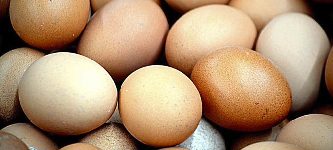 Иркутская область экспортировала 1,8 млн яиц в мае 2020 года
