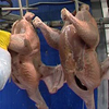 Ростовский производитель мяса птицы будет поставлять продукцию в Узбекистан и Азербайджан