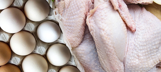 Российские яйца и мясо птицы вернутся на рынок Кувейта