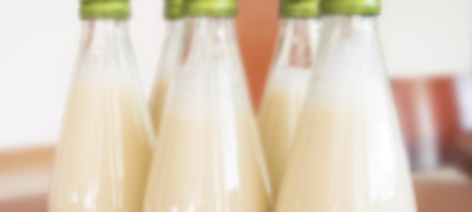 Удмуртская компания договорилась о регулярных поставках молока и мороженого в Китай