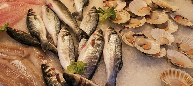 Камчатка заработала на экспорте рыбы и морепродуктов на 35% больше