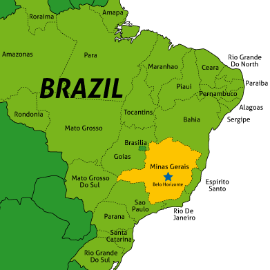  Экспорт из России в Бразилию составил 1,1 млрд долларов за первое полугодие 2014 года