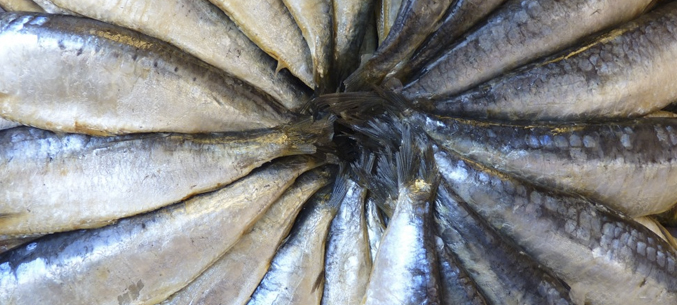 Чукотский экспорт морепродуктов вырос более чем в два раза