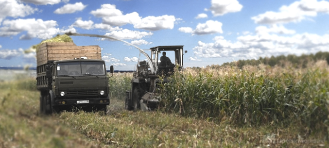 Липецкая область экспортировала 436 тысяч тонн сельхозпродукции в первом полугодии