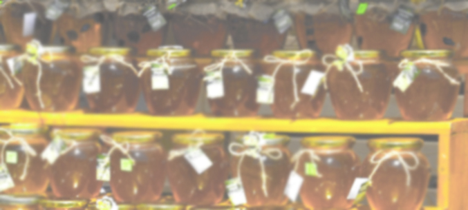 Кубанские пчеловоды представят продукцию в Италии