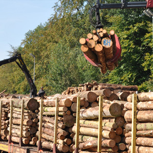  Вырос экспорт лесоматериалов из Сибири