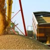 Из портов Кубани отправили зерно в 13 стран за первую неделю марта