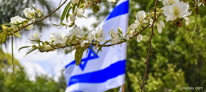 Экспорт продукции АПК из России в Израиль вырос на 34%