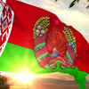 Внешнеторговый оборот Новгородской области с Республикой Беларусь составил 106,5 млн долларов 