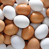 Из Красноярска в Монголию экспортируют 12 млн яиц