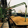 В 2015 году через порты Кубани было экспортировано более 12 млн тонн зерна