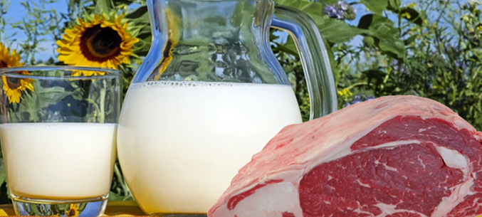 Краснодарский экспорт молока и мяса удвоился с начала 2020 года