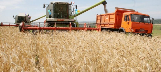 В России будет создан новый союз экспортеров зерна