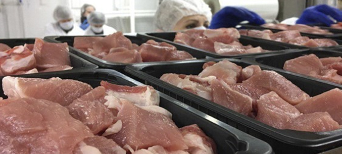Томское предприятие намерено экспортировать свинину в Японию и на Филиппины