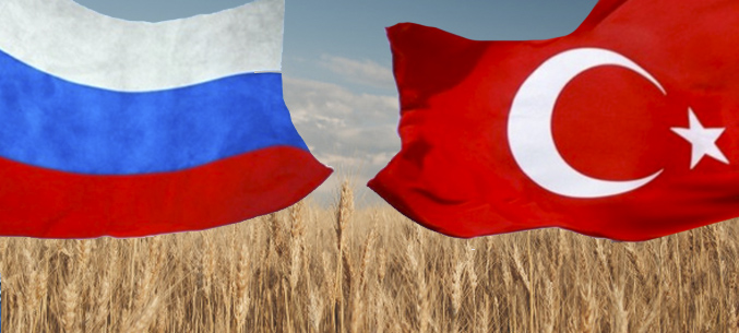 Российский агроэкспорт в Турцию вырос на 45% в 1 квартале 2020 года