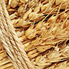 Новосибирская область до конца года планирует экспортировать 200 тыс. тонн зерна
