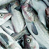 Экспорт готовой рыбной продукции из РФ вырос почти в 10 раз