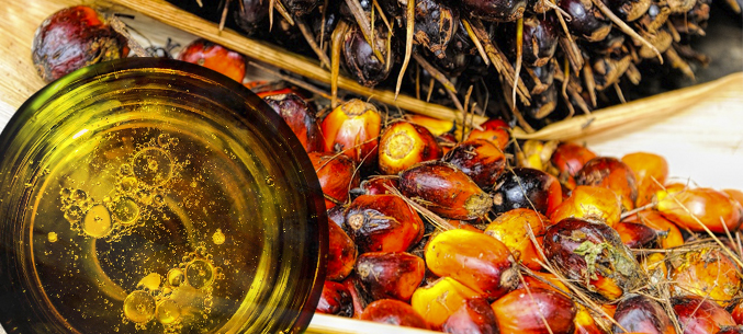 В 2019 году в Россию ввезли более 1 млн тонн пальмового масла