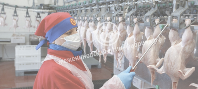 Томская птицефабрика отправила в Китай 24 тонны куриных ног