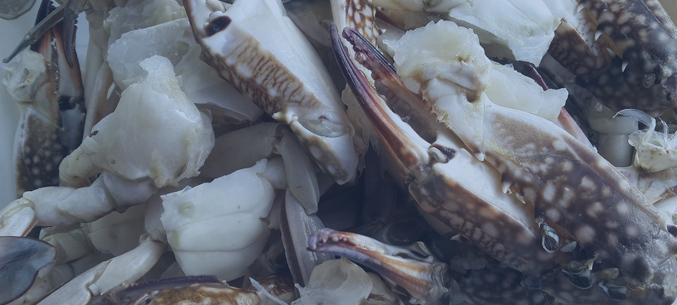 Камчатский экспорт рыбы и крабов превысил 800 млн долларов в 2019 году