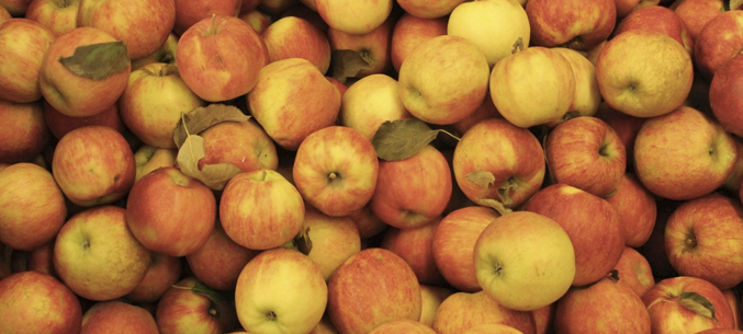 Российский импорт яблок превышает экспорт в 125 раз