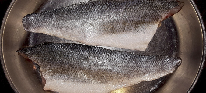 Мурманский рыбный экспорт вырос на 7,7% в январе-августе 2020 года