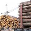 В 2 раза вырос экспорт лесоматериалов из региона деятельности Хакасской таможни 