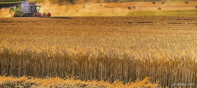 Ульяновская область наращивает экспорт зерна