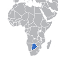 Экспорт российской продукции в Ботсвану за 2014 год