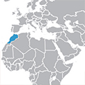 Торговый оборот между Россией и Марокко за 1 полугодие 2015 года