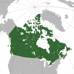 Обзор торговых отношений России и Канады в 2014 г.