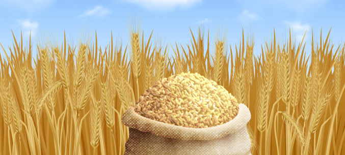 Оренбургская область экспортировала более 43 тыс. тонн зерна в начале 2020 года