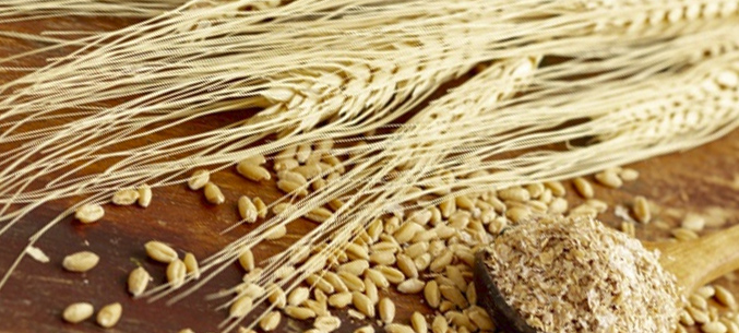 Россия экспортировала 3,7 млн тонн пшеницы и меслина в январе-феврале 2020 года