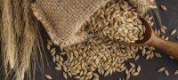Экспорт ставропольского зерна вырос вдвое