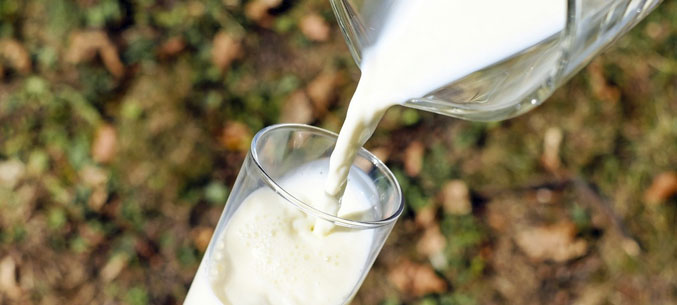 Россия экспортировала 391,7 тыс. тонн молочной продукции за 7 месяцев 2019 года