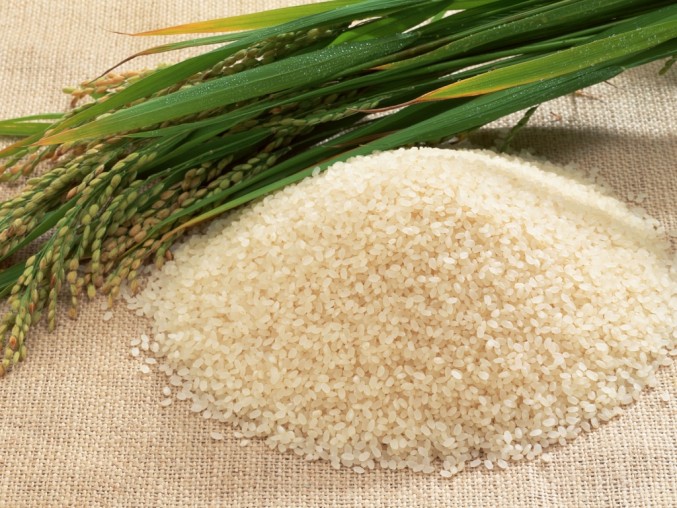 Экспорт кубанского риса вырос на 30,1% в 2014 году