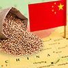 Челябинская область открывает экспорт зерна в Китай