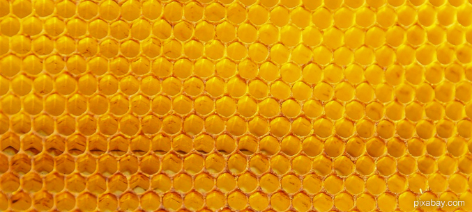 В Южной Корее и Марокко попробуют башкирский мёд