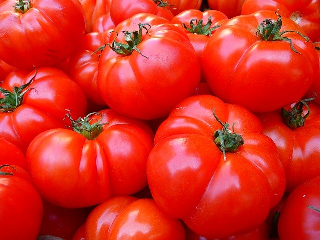 Узбекистан экспортировал 77,4 тыс. тонн помидоров