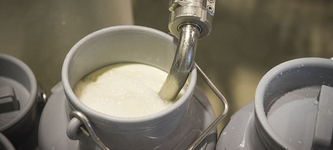 Белгородский экспорт молока вырос на 30%