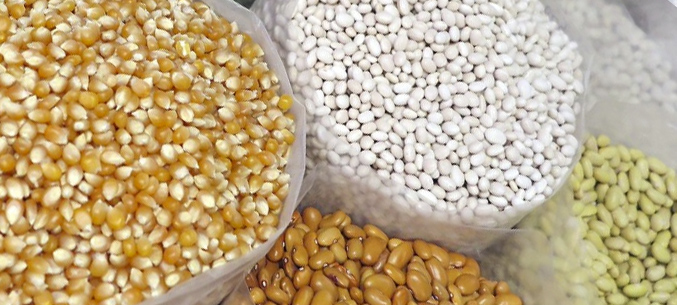 Экспорт зерна из Приморья в страны Азии вырос на 4,3% за девять месяцев 2019 года