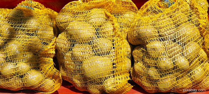 Экспорт картофеля достиг 49 млн долларов с начала 2020 года