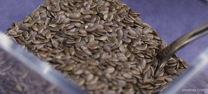 Экспорт масличных культур из Чувашкой Республики достиг 3,2 тыс. тонн
