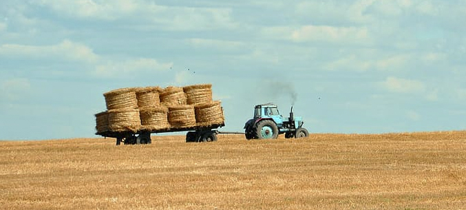 Россия наращивает экспорт сена в Европу