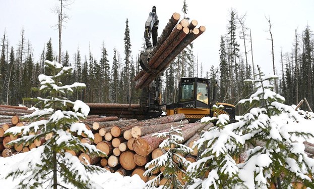 Спрос на товары лесопромышленного комплекса Югры растет
