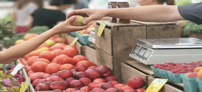 На Камчатке отмечено снижение цен на продукты питания и товары первой необходимости