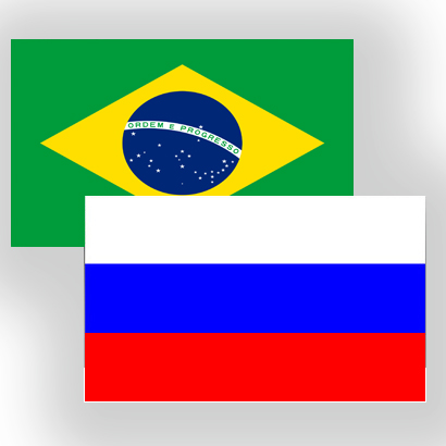 Обзор российского экспорта в Бразилию за первое полугодие 2014 года