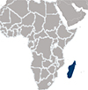 Торговый оборот между Россией и Мадагаскаром за 1 полугодие 2015 года